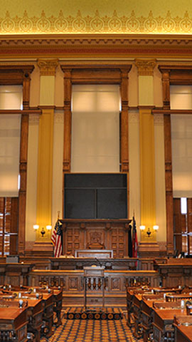 Georgia Capital Photo